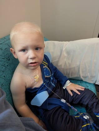 Shepherd in hospital
