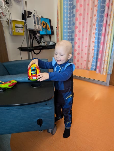 Shepherd playing in hospital