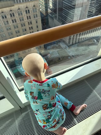Gryffin hospital window looking out
