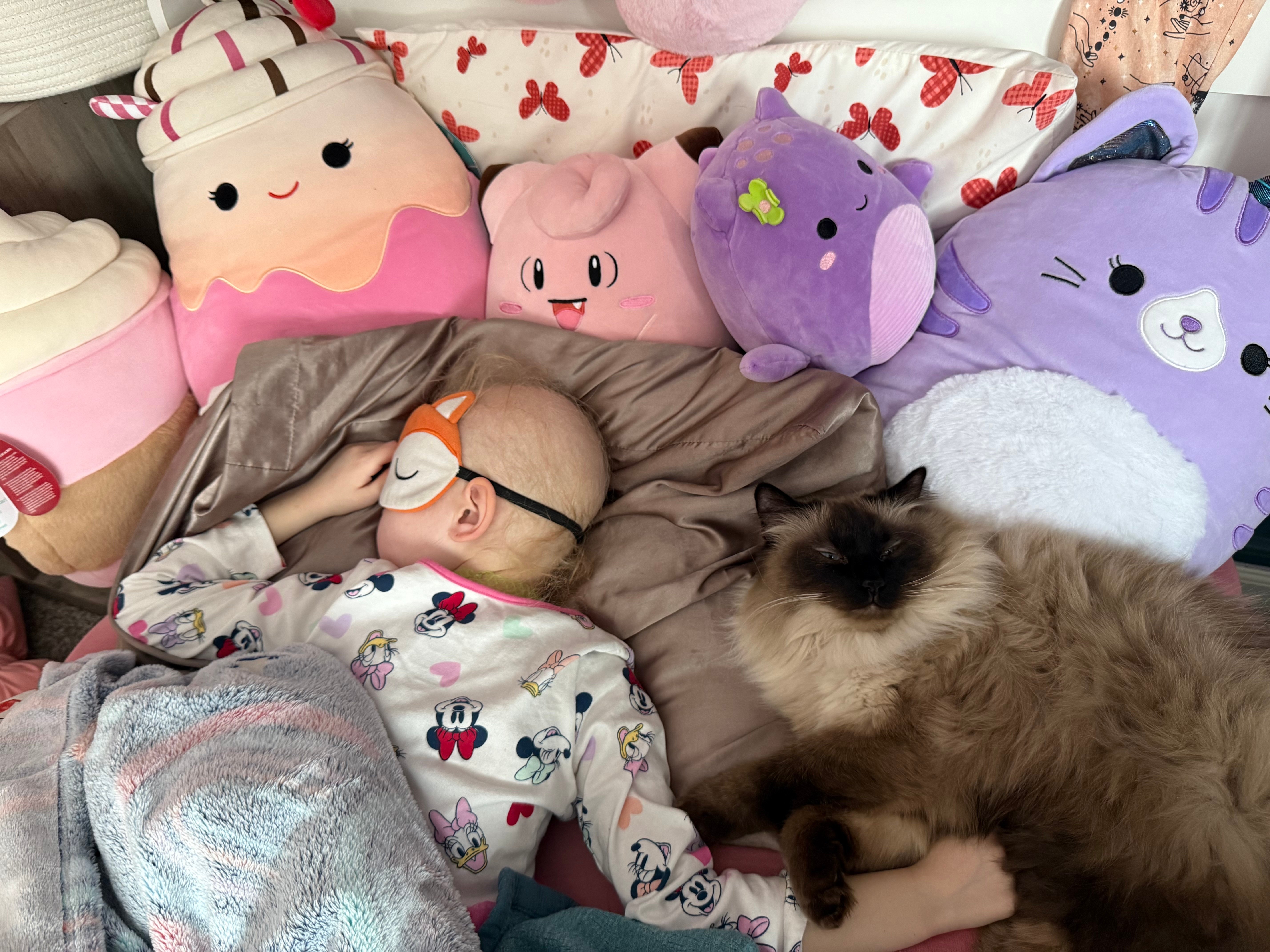 Winnie sleeping stuffed animals