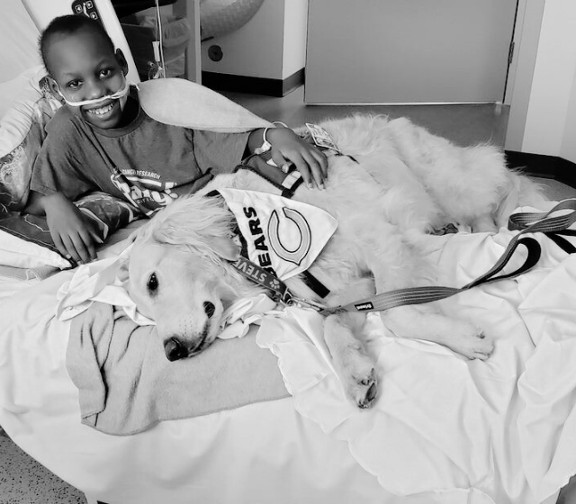 All-Star Aamir in the hospital with a therapy dog.